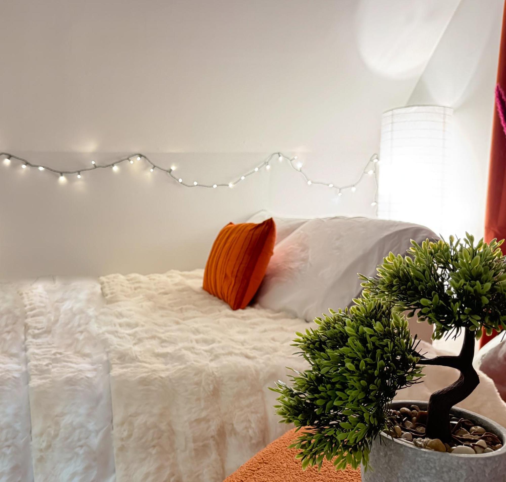 La Douceur - Hypercentre Pieton De Troyes - Cozy Apartment ภายนอก รูปภาพ