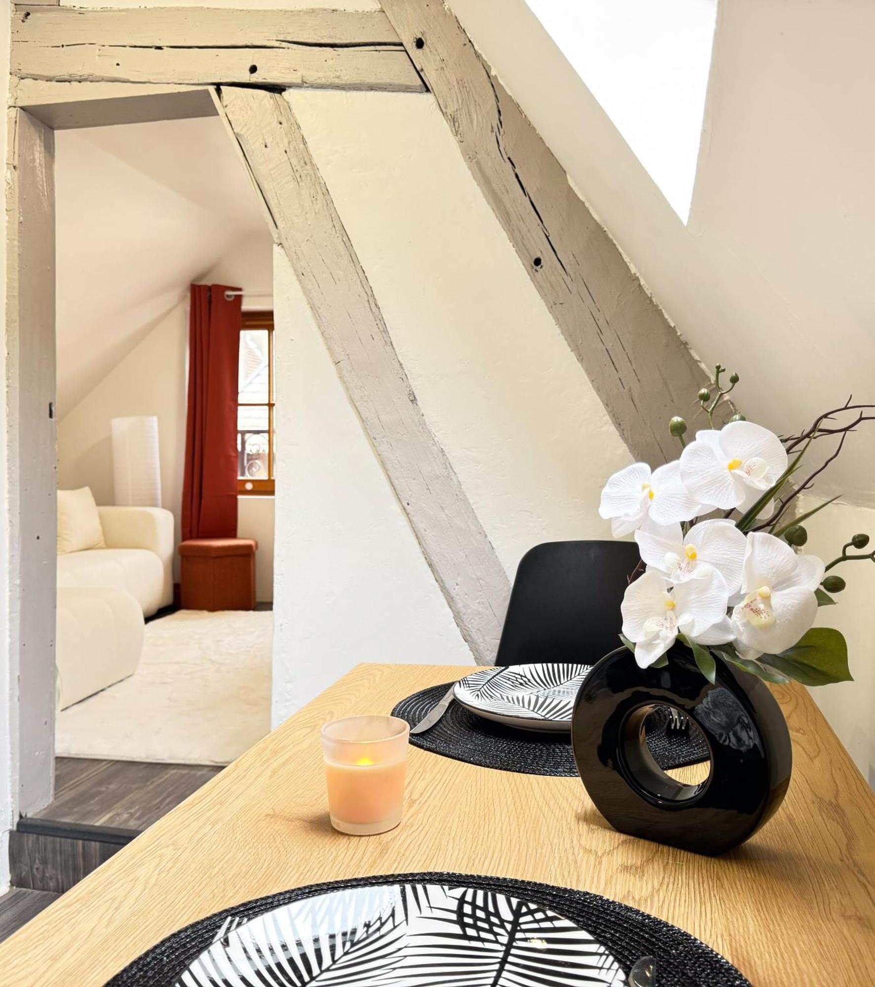 La Douceur - Hypercentre Pieton De Troyes - Cozy Apartment ภายนอก รูปภาพ